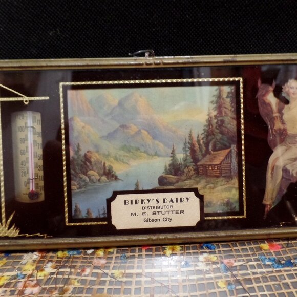 Vintage Advertisement Plaque Birky's Dairy Gibson City - Picture 7 of 11